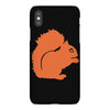 squirrel iPhoneX