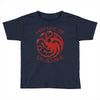 mother of dragons Toddler T-shirt