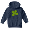 irish Youth Hoodie