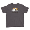 crazy cat lady Youth Tee
