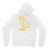 drake, ovoxo owl Hoodie