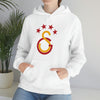 test Unisex Heavy Blend™ Hooded Sweatshirt