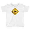 turtle xing Toddler T-shirt