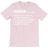 Feminism Noun T-Shirt
