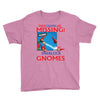 Sherlock Gnomes Youth Tee