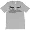 Bisexual Dictionary T-Shirt