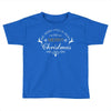 we wish you a very merry christmas Toddler T-shirt