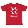 aquarius zodiac Toddler T-shirt