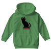 cat Youth Hoodie