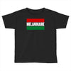 melaninaire Toddler T-shirt