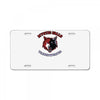 mystic falls License Plate