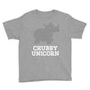 chubby unicorn rhino Youth Tee
