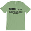 Feminist Noun T-Shirt