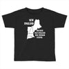 because old england  was wicked     stupid. Toddler T-shirt