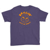 krillin with my homies Youth Tee