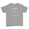 aquarius christmas ugly sweater Youth Tee