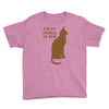 im an animal in bed Youth Tee