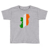 ireland Toddler T-shirt