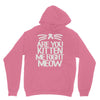 are you kitten me right meow Unisex Hoodie