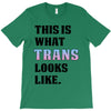 This is What Trans Looks Like T-Shirt
