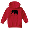 Big Dipper Youth Hoodie