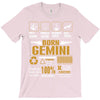 Born Gemini  Multitasking Problem Solving Tees T-Shirt