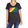 Pennsylvania LGBT Rights Ladies Curvy T-Shirt