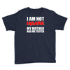 i'm not insane my mother Youth Tee