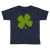 irish (2) Toddler T-shirt