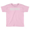 make the republic great again Toddler T-shirt