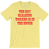 dry cleaning worker in the house T-Shirt