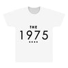 1975 All Over Men's T-shirt