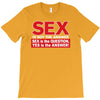 funny rude sex is not the answer, ideal birthday gift or present T-Shirt