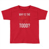 why is the carpet all wet todd.. Toddler T-shirt