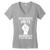 introverts unite separately in your own homes Women's V-Neck T-Shirt