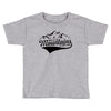 Going To The Mountains Is Going Home Toddler T-shirt