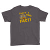 rock fact Youth Tee