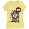 you shall not pass!! Ladies Fitted T-Shirt