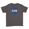 Nasa Parody Gay Youth Tee