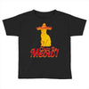 cinco de meow cinco de mayo Toddler T-shirt