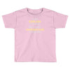 engineer's motto can't understand it for you Toddler T-shirt