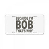 bicause im bob License Plate