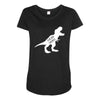 Teachersaurus Maternity Scoop Neck T-shirt