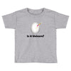 is it Unicorn Toddler T-shirt