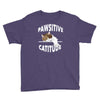 pawsitive catitude Youth Tee