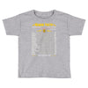 Gemini Facts Zodiac Toddler T-shirt