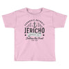 Ferndale Detroit Toddler T-shirt