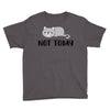 Cat Says Not Today Youth Tee
