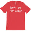 what do you mean 2016 tour T-Shirt