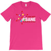 i am not insane inspired by the big bang theory, ideal birthday T-Shirt